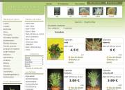 site web albi site_web_albi site_web_albi site_web_albi Jb Cactus